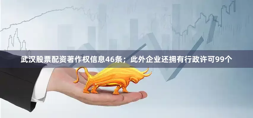 武汉股票配资著作权信息46条；此外企业还拥有行政许可99个