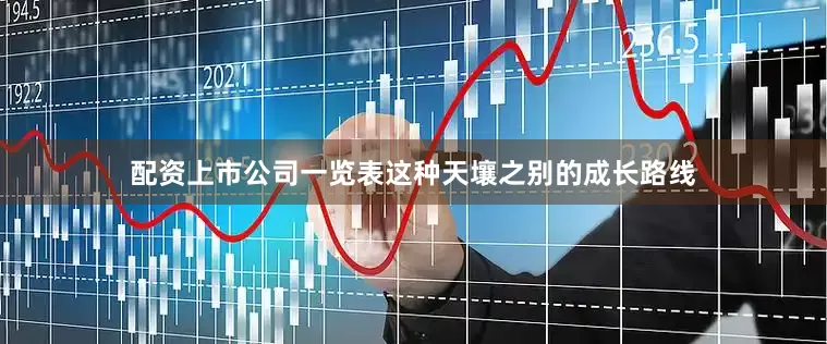 配资上市公司一览表这种天壤之别的成长路线