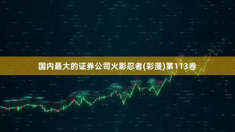 国内最大的证券公司火影忍者(彩漫)第113卷